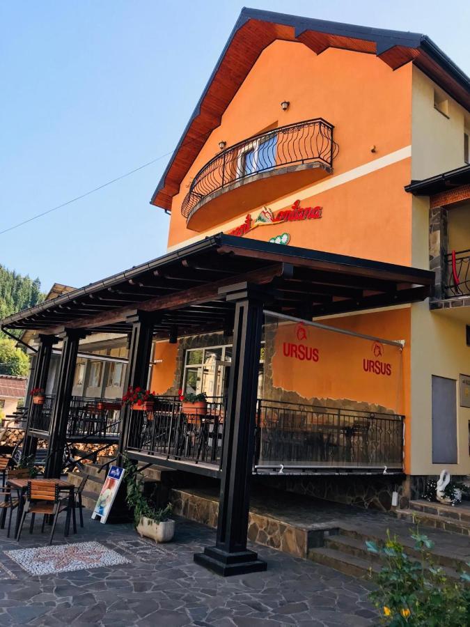 Pensiunea Montana Borsa Mm Băile Borşa Dış mekan fotoğraf