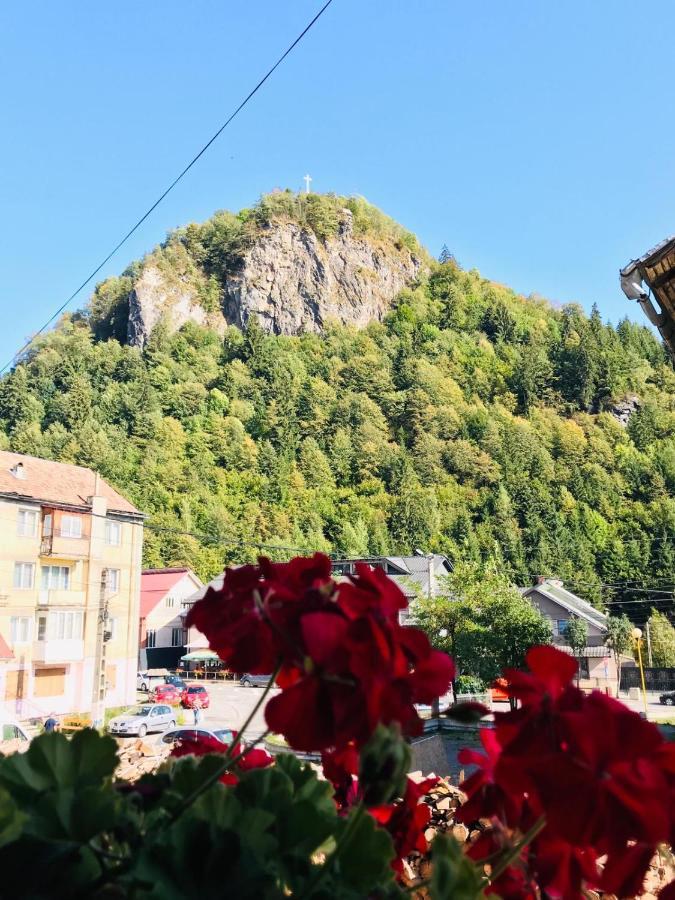 Pensiunea Montana Borsa Mm Băile Borşa Dış mekan fotoğraf