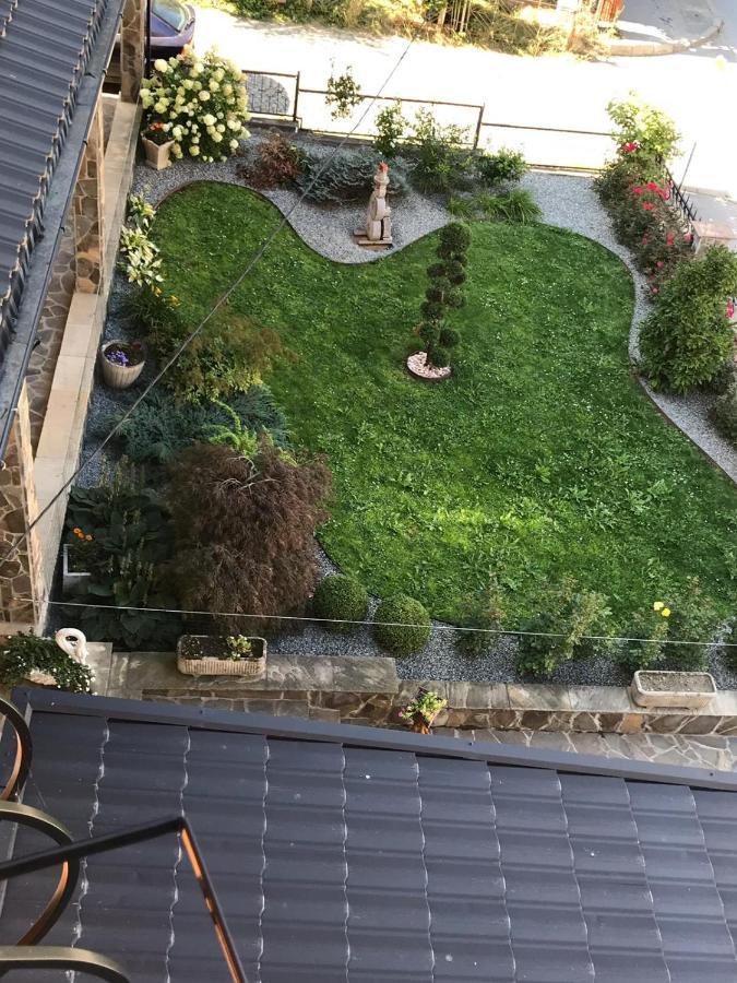 Pensiunea Montana Borsa Mm Băile Borşa Dış mekan fotoğraf