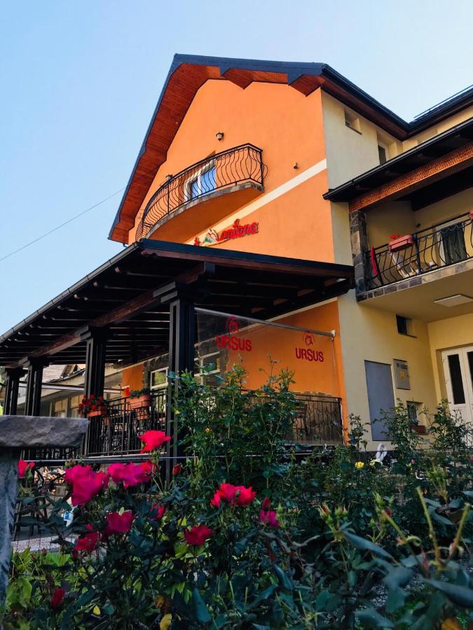 Pensiunea Montana Borsa Mm Băile Borşa Dış mekan fotoğraf
